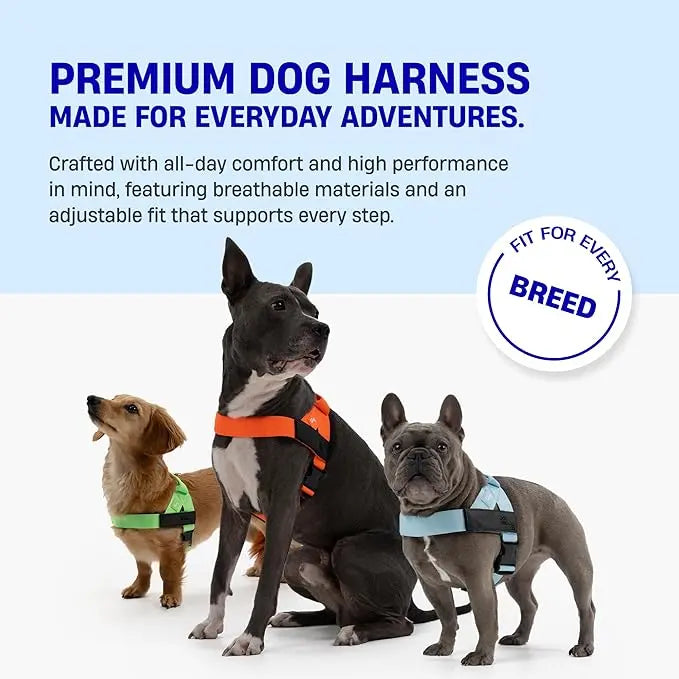 Dog Harness – Easy to put on, anti-pull design – Safe, secure, and comfortable – Suitable for all dogs