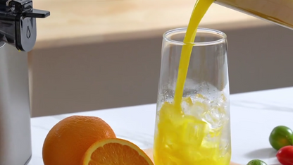 Cold Press Juicer -  5.4 Inch Feed Chute, High JuiceYield, Easy Clean, 55rpm Technology for  Vegg