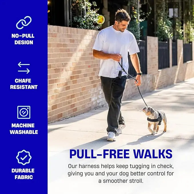Dog Harness – Easy to put on, anti-pull design – Safe, secure, and comfortable – Suitable for all dogs
