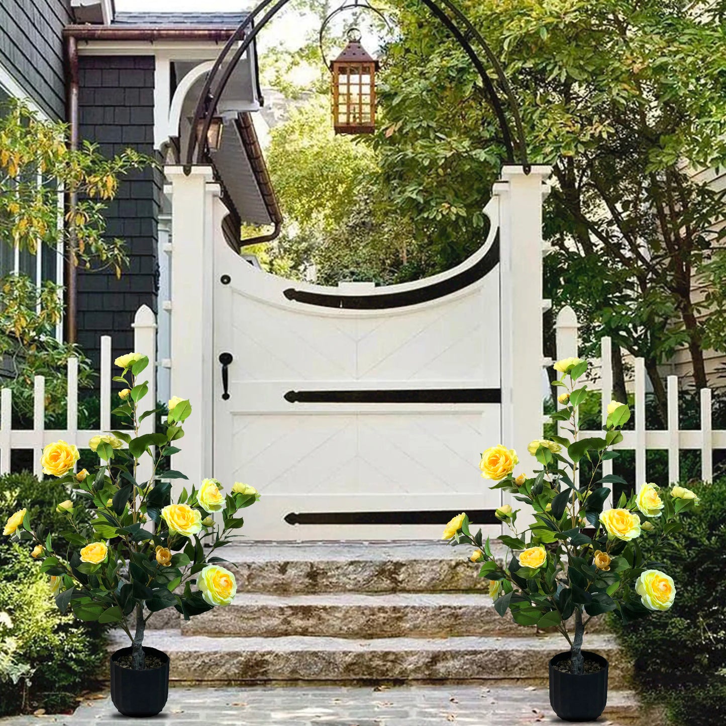 2 Pcs 3-foot Camellia Tree with DecorativePebbles