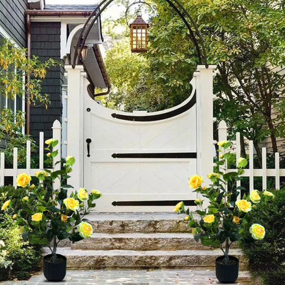 2 Pcs 3-foot Camellia Tree with DecorativePebbles