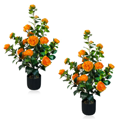 2 Pcs 3-foot Camellia Tree with DecorativePebbles