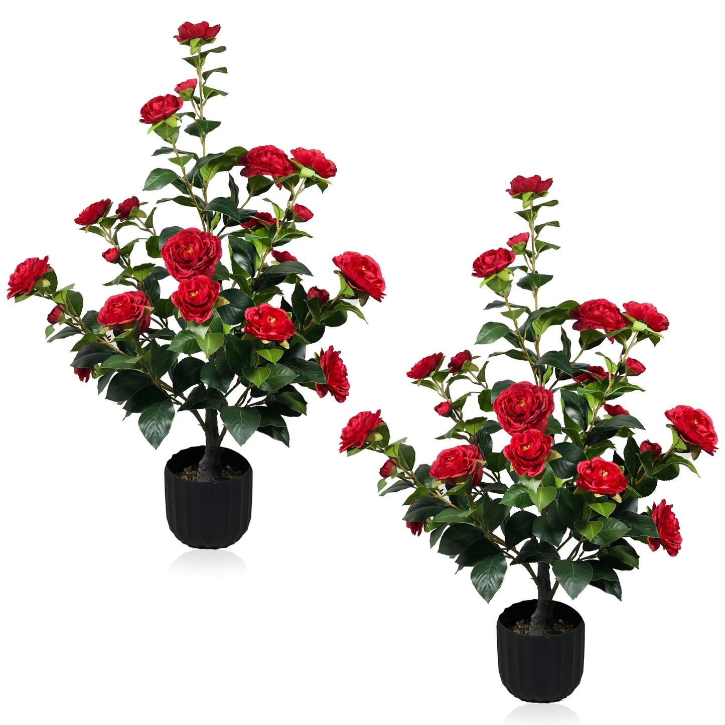 2 Pcs 3-foot Camellia Tree with DecorativePebbles