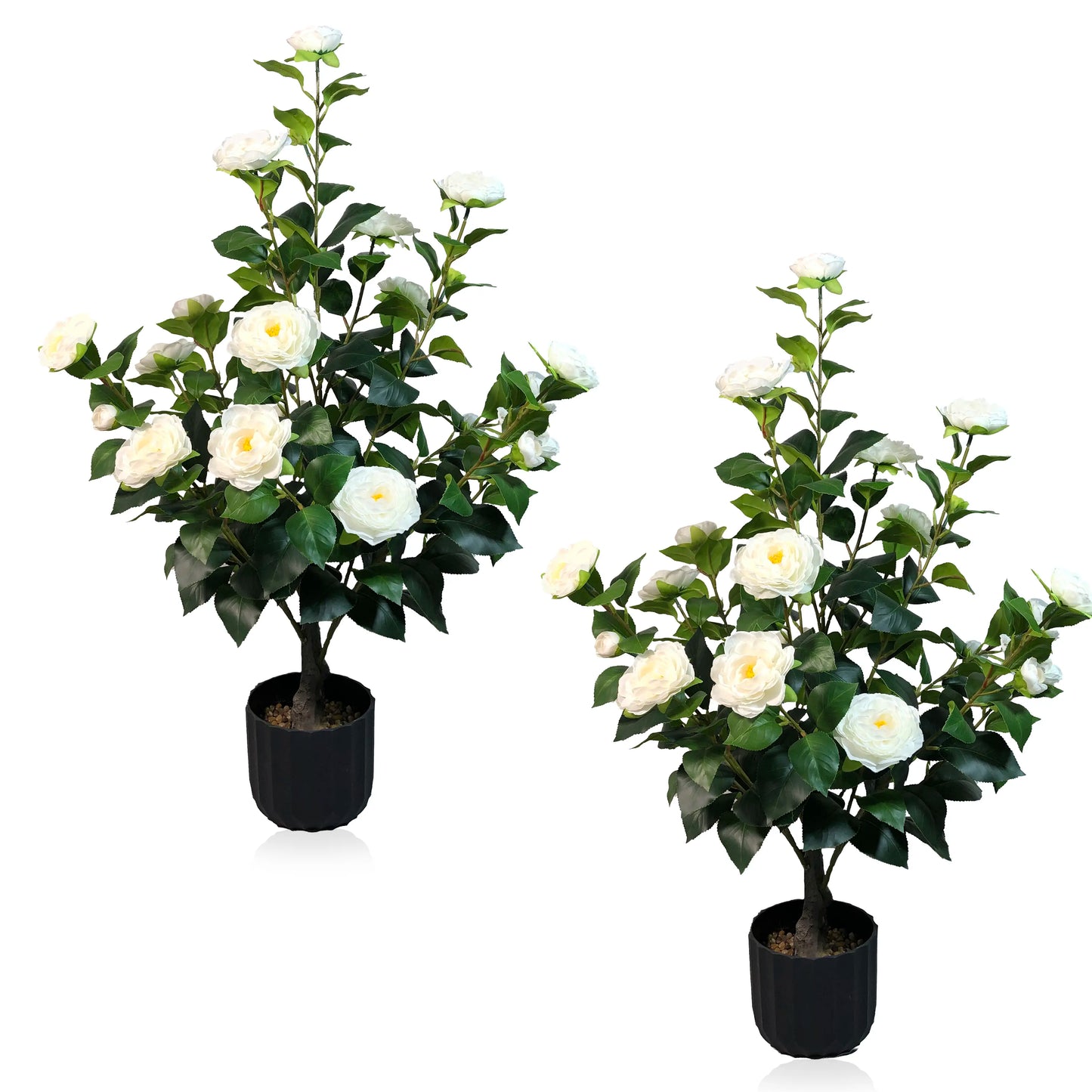 2 Pcs 3-foot Camellia Tree with DecorativePebbles