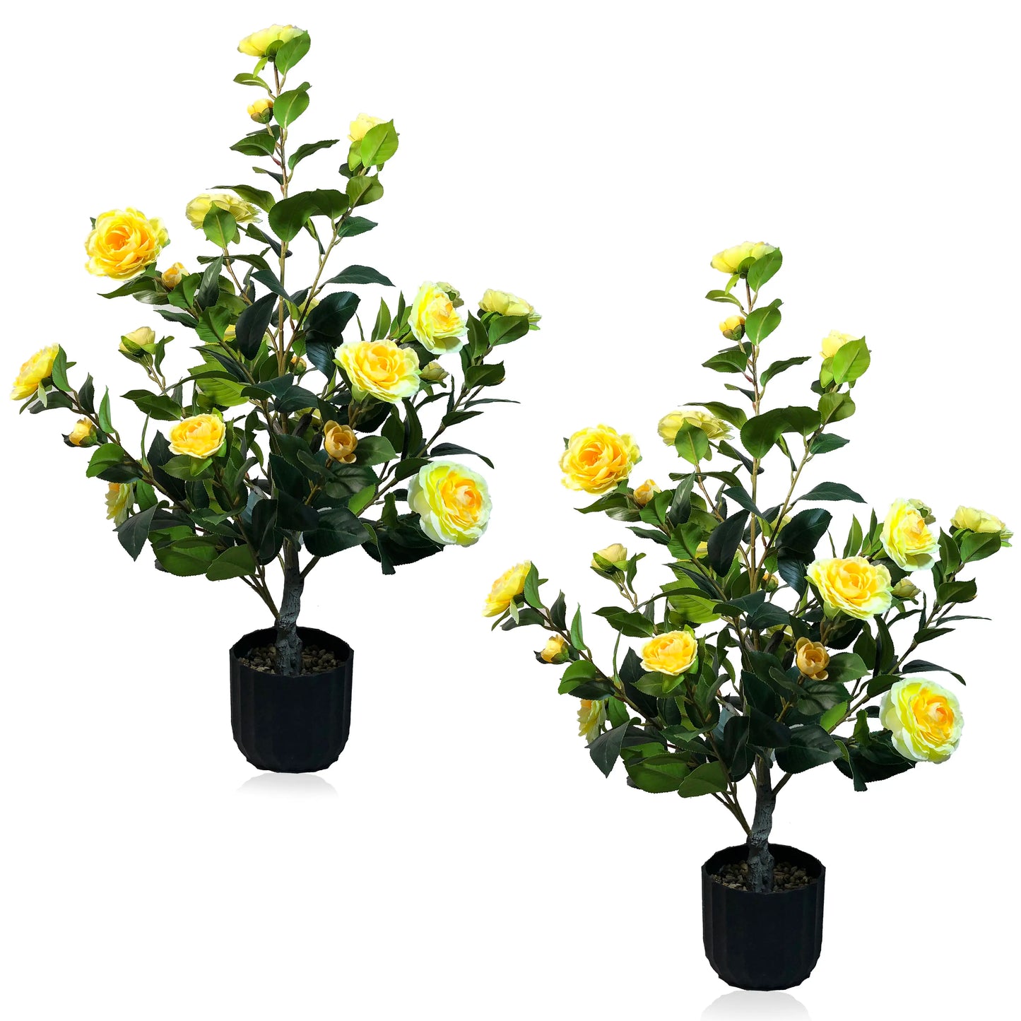 2 Pcs 3-foot Camellia Tree with DecorativePebbles