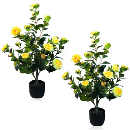 2 Pcs 3-foot Camellia Tree with DecorativePebbles