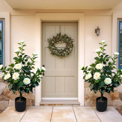 2 Pcs 3-foot Camellia Tree with DecorativePebbles