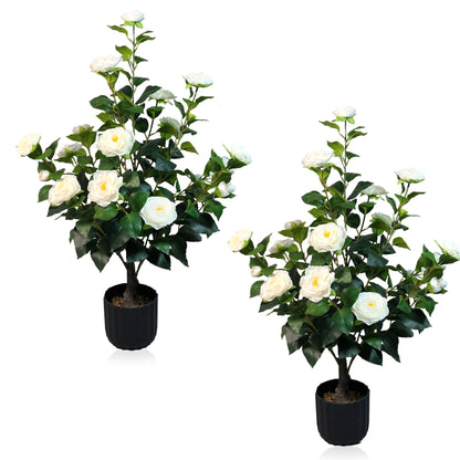 2 Pcs 3-foot Camellia Tree with DecorativePebbles